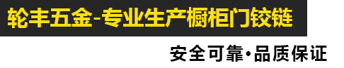 平湖市輪豐五金有限公司